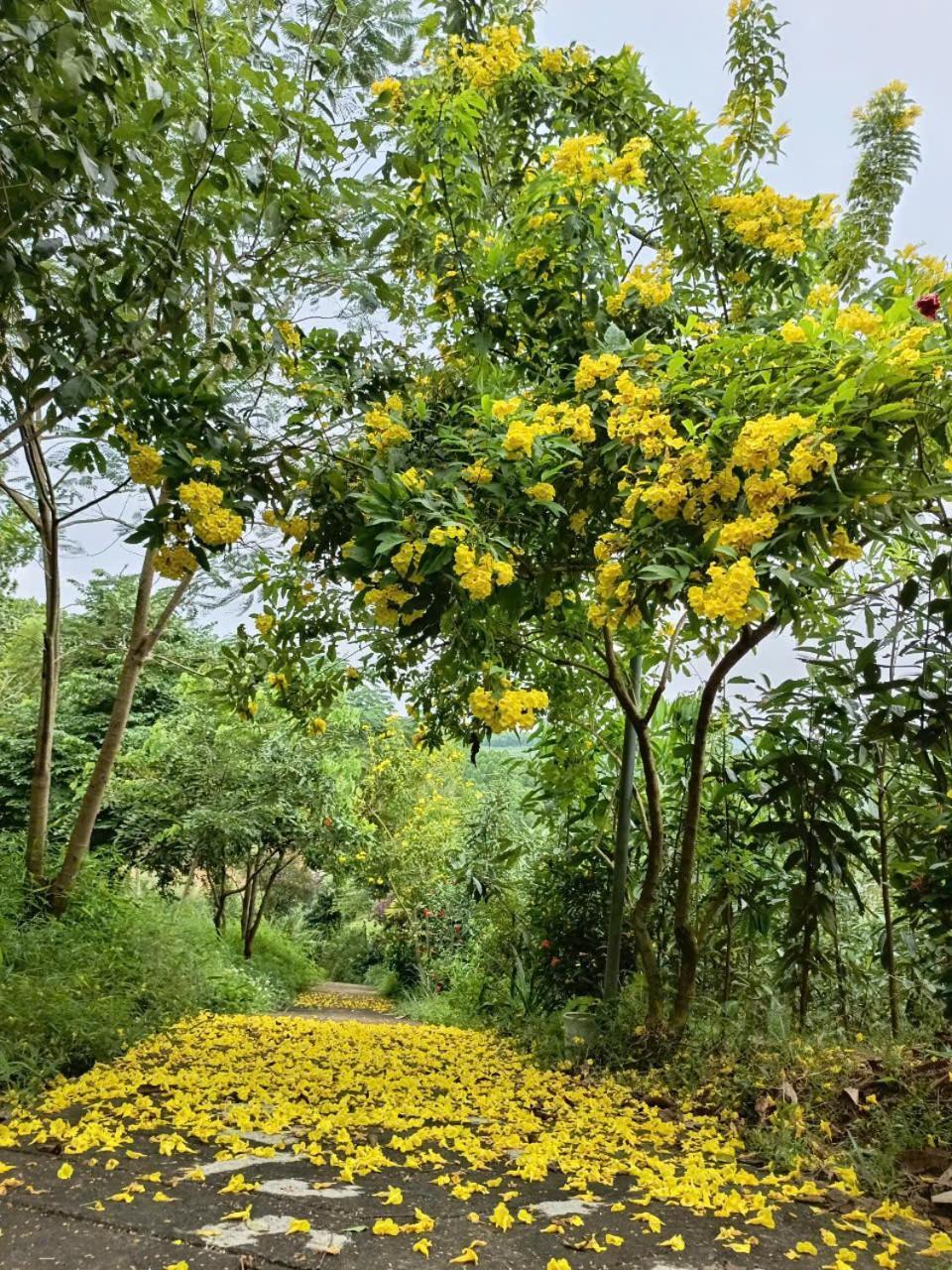 Homestay Mountain Breath Retreat - Am Nui Tho *